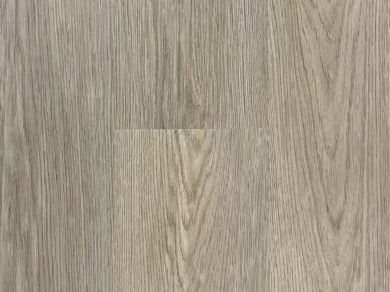 KF101
