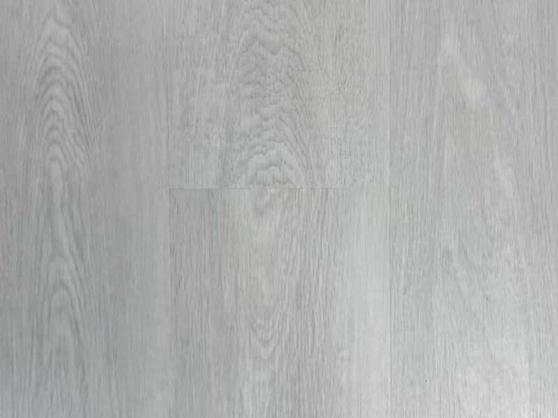 KF204