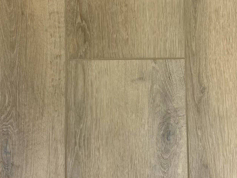 KF304